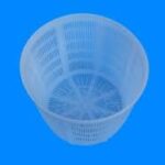 Forma plastica crotonese